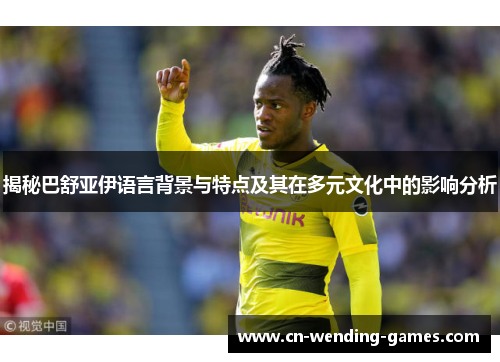 揭秘巴舒亚伊语言背景与特点及其在多元文化中的影响分析