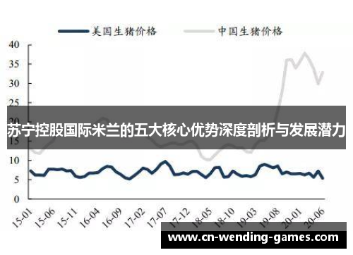 苏宁控股国际米兰的五大核心优势深度剖析与发展潜力 苏宁控股国际米兰的五大核心优势深度剖析与发展潜力