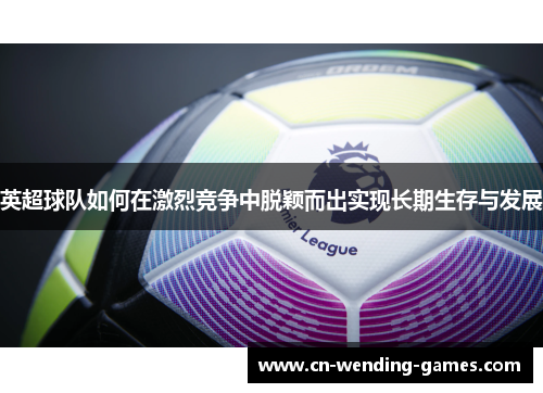 英超球队如何在激烈竞争中脱颖而出实现长期生存与发展 英超球队如何在激烈竞争中脱颖而出实现长期生存与发展